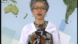 SBS News  Lee Lin Chin blooper quotWho is that handsomequot [upl. by Rehpetsirhc]