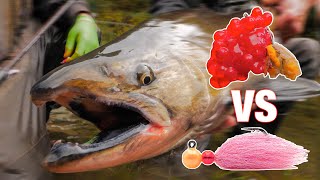 Salmon Fishing Challenge BAIT VS JIG [upl. by Leaper463]