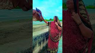 ગામડા ની મોજ 🥰 gau premi song  cow gujarat song viralvideo shorts nature ગૌમાતા ગૌશાળા [upl. by Sommer]