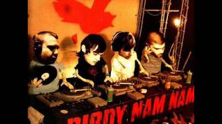 Birdy Nam Nam  New Birth electro [upl. by Ahsinned660]