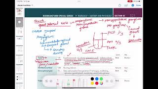 vestibular 8  glossopharyngeal 9  vagus 10 hypoglossal Cranial Nerves and function neurology 52 [upl. by Calesta975]