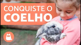 Como GANHAR A CONFIANÇA de um COELHO 🐰🥕 [upl. by Ahrens372]