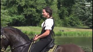 extrait spectacle fête du cheval château de saint fargeau 2023 [upl. by Surovy]