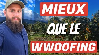 Le problème avec le wwoofing  retour d’expérience [upl. by Miguel]