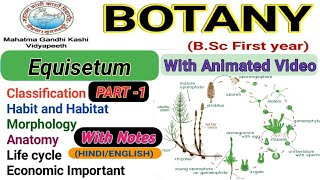 EquisetumMorphologyAnatomyReproductionlife cycle Part1 [upl. by Joost]