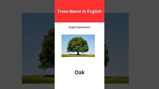 quotDiscover Plant Names in English  Fun Learning for Kidsquot  Educational Video for Kidsquot [upl. by Rokach177]