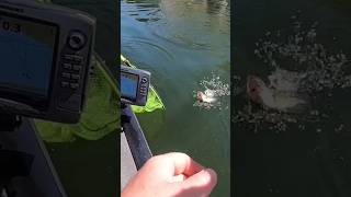 Fishing Team catchandrelease blackbass fishing life bass bassfishing pesca rio short lake [upl. by Taber93]