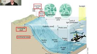 Marine Science Ocean Zones and Lifestyles 1 [upl. by Algernon]