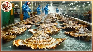 Amazing Clams Discover How Theyre Processed [upl. by Avehsile]