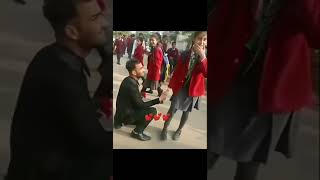 14 Feb valentines School proposal lovestatus love life shortvideo trendingshorts [upl. by Agnimod]