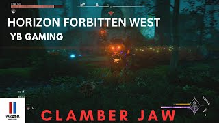 Horizon Forbidden West fire clamber jaw gameplay 🐒 [upl. by Anatolio]