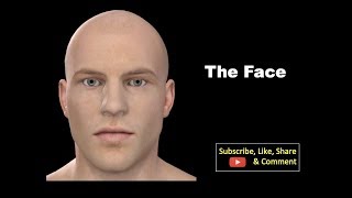 The Face Anatomy mbbs education bds headandneckanatomy face [upl. by Wendie236]