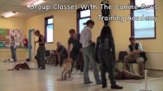 Beginners Basic Obedience Class [upl. by Marcia]