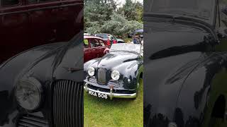 A 1952 JOWETT JUPITER EXHIBITED AT NEWBY HALL HISTORIC VEHICLE RALLY IN 2O24 [upl. by Eoz76]