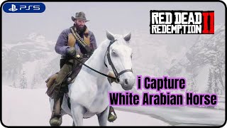 I Capture White Arabian horse in Red dead redemption 2  Fastest Horse in RDR2 [upl. by Ecinad572]