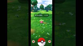 Catching Giant Bounsweet in Pokemon GO Indonesia  Shorts [upl. by Emmalynne255]