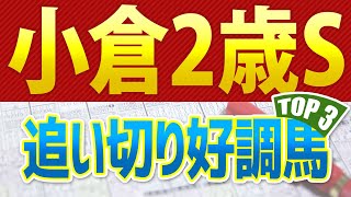 小倉2歳ステークス（2024）追い切りが好調だった「トップ3」はこの馬だ🐴 ～JRA小倉2歳Sの競馬予想～ [upl. by Hightower]