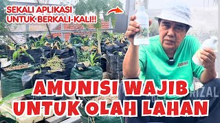 Aplikasi Nutrisi Vegetatif Tricodherma Mikoriza ke Tanaman Jagung Saya [upl. by Hsemin698]