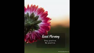 Best Good Morning Greetings Messages ideas [upl. by Trebmer]