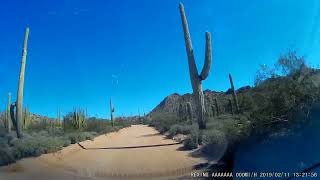 ORGAN PIPE NATIONAL MONUMENT ARIZONA [upl. by Leahcym]