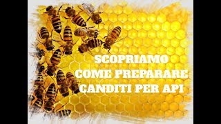 COME PREPARARE CANDITI PER API CON RISULTATO GARANTITO [upl. by Ahcsrop194]