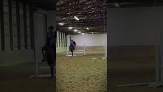 Her jump tho 🤭fypシ゚viral equestrian horsejumping horseriding showjumping [upl. by Akemak]