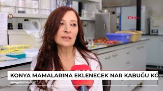 KONYA Mamalarına eklenecek nar kabuğu köpekleri kanser ve kalp hastalıklarından koruyacak [upl. by Chamkis]