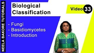 Biological Classification  NEET  Fungi  Basidiomycetes  Introduction  Neela Bakore Tutorials [upl. by Estus]