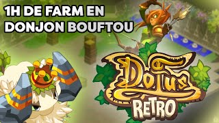 DOFUS RETRO 1 heure de farm Donjon Bouftou [upl. by Elodea]