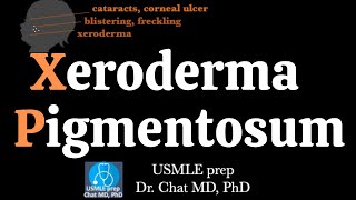 Xeroderma Pigmentosum Pathophysiology【USMLE biochemistry】 [upl. by Onivag]