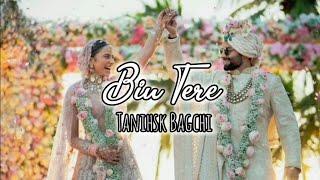 Bin Tere  Rakulpreet Singh ❤️ Jackky Bhagnani Only Lyrics  Bin Tere Tanishsk Bagchi Lyrics [upl. by Ahcsas]