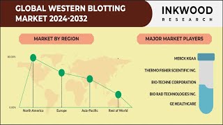 Western Blotting Market  Immunoblotting  Inkwood Research  2032 [upl. by Minerva162]