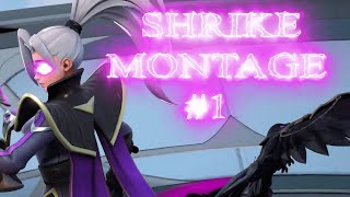 Shrike Montage 1 [upl. by Ranilopa]