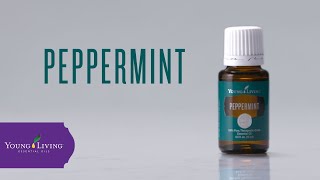 Peppermint Essential Oil Benefits amp Uses  Young Living Essential Oils [upl. by Colbert]