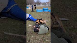 Police dog training😮 K9 Malinois attack in a muzzle GUARDODESSA Odessa Ukraine [upl. by Araet]