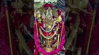 Thiruchendur Murugan Valli Deewana thirumanam Vetrivel Veraval Murugan songs trending song [upl. by Aerbma]