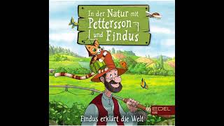 Petterson und Findus  In der Natur mit Petterson und Findus Hörspiel ganze Folge [upl. by Monteith]