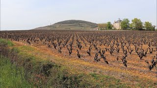 Saint Lager  Le Mont Brouilly  Rhône [upl. by Abshier]