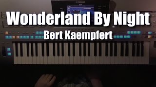 Wonderland By Night  Bert Kaempfert Cover eingespielt mit Titelbezogenem Style auf Tyros 4 [upl. by Errehs]