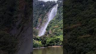 The Secret Waterfalls of Milford Sound in New Zealand after heavy rainfall shorts [upl. by Anibur]