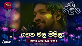 Gahaka Mal Pipila  ගහක මල් පිපිලා  Ridma Weerawardena  Piyum Neela Vila  Roo Tunes [upl. by Aita895]