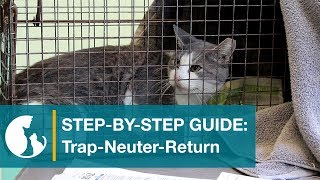 Step by Step Guide TrapNeuterReturn [upl. by Delia]