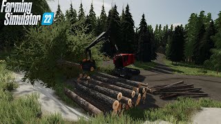 FS22  logging timelapse  Loggers Paradise 3  Finally doing some logging [upl. by Gnuhp551]