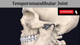 Temporomandibular Joint  Type  Variety  Articular Surfaces  Ligaments  Relations  NerveSupply [upl. by Aifoz]