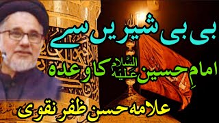 Bibi Sheeren se Imam Hussain as ka Wada  Allama Hassan Zafar Naqvi [upl. by Refinne]