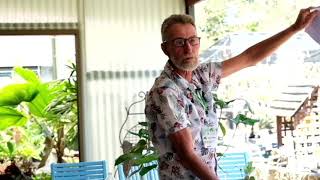 Growing Aroids in a SubTropical Climate with Steve Flood of Mellum Creek Nursery [upl. by Codie]