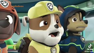 Tiktok về Đội chó cứu hộ  Pawpatrol 4  🌷An Zi Nhin 🌷 [upl. by Anim]