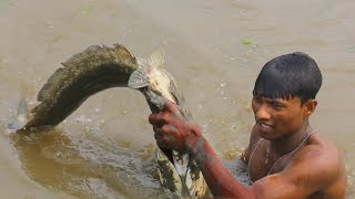 unique fishing videos  catfish and snake head fish catching by hand [upl. by Eltsyrc]