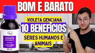 VIOLETA GENCIANA 10 BENEFÍCIOS PARA SERES HUMANOS E ANIMAIS SOLUÇÃO BOA E BARATA FUNCIONA MESMO [upl. by Aissat562]