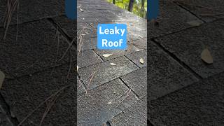 Old roof ruining building homeinspection roofing [upl. by Naves]